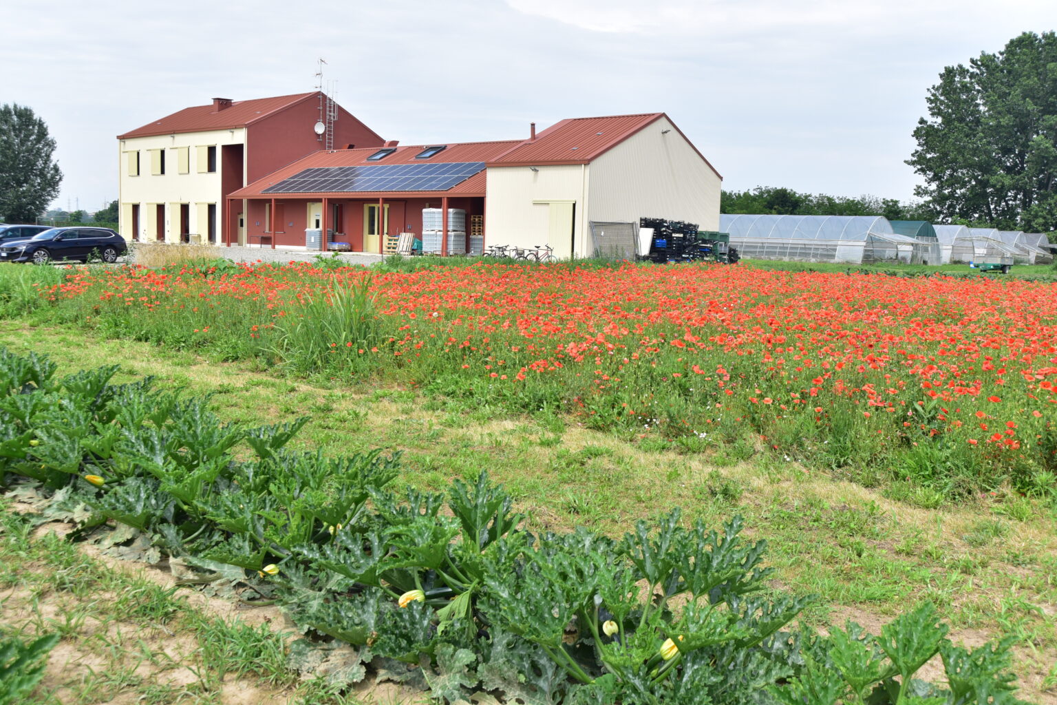 Servizi Residenziali Agrivis